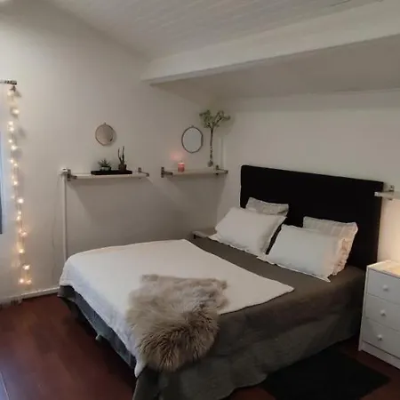Chambres Dans Villa En Colocation Avec Jardin Tram 1 & 2-2